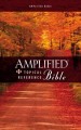 Amplified Topical Reference Bible-HC