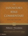 Commentary-Hebrew-Revelation (Exp Bib Comm V13) (Rev)