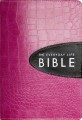 Amplified Everyday Life Bible-Pink/Expresso Bond