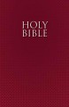 NIrV Holy Bible For ESL Readers-Brg SC (Sep 2010)