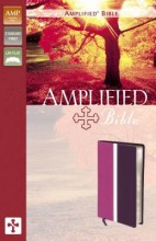 Amplified Bible-Orchid/Plum DuoTone