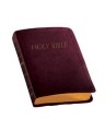 NABRE Catholic Companion Bible-Burgundy Imitation