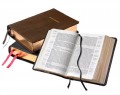 NASB Clarion Reference Bible-Brn Calfskin