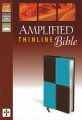 Amplified Thinline Bible-Turquoise/Chocolate DuoTo