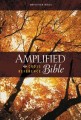 Amplified Cross Reference Bible-Hardcover