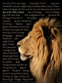 Chart-Lion Of The Tribe Of Judah (Laminated)