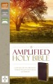 Amplified Holy Bible (Revised)-Burgundy Bonded Lea