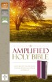 Amplified Holy Bible (Revised)-Dark Orchid/Deep Pl