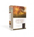 Amplified Holy Bible/Large Print (Revised)-Burgund